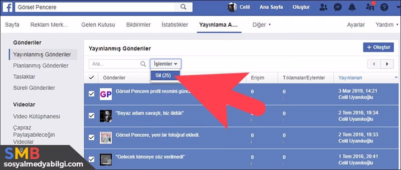yayınlanmış gönderiler
