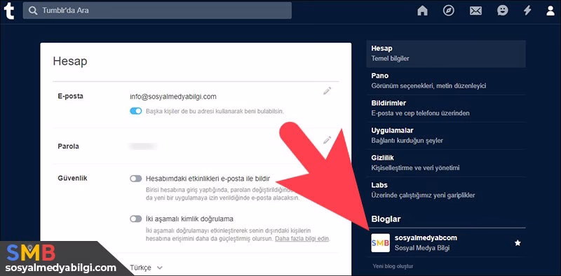 Tumblr Profil ve Paylaşımlarını İndirmek