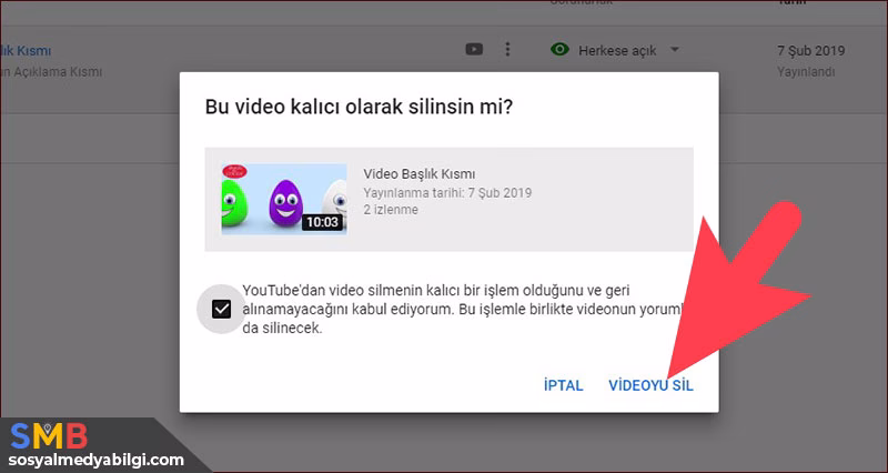 bu video kalıcı olarak silinsin mi
