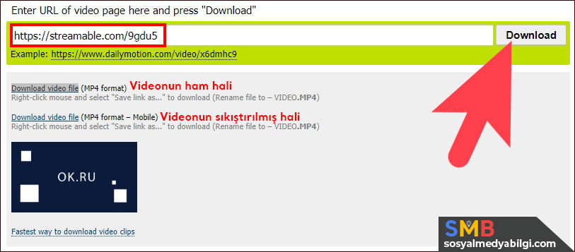 Enter URL of video page here and press Download